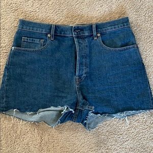 Everlane Cheeky Denim short